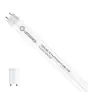 Ledvance LED Lysrør T8 Performance (EM/Mains) High Output 6.8W 1100lm - 840 Kold Hvid | 60cm - Erstatter 18W